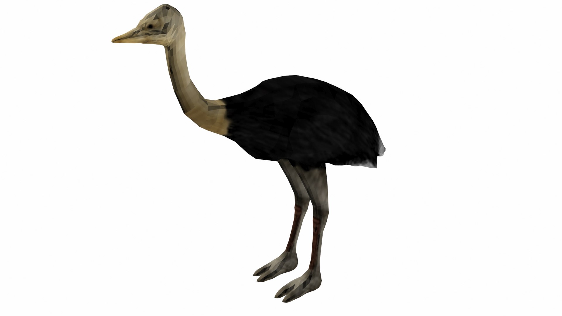3D model ostrich https://p.turbosquid.com/ts-thumb/nR/uVUBDZ/kT/p3/jpg/1609592590/1920x1080/fit_q87/61d991a2f868e04f2177580be9d5dfa97469d29d/p3.jpg