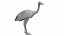 OSTRICH