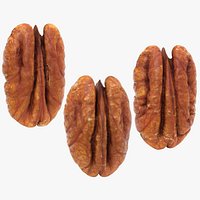 Pecan - 3D Scanned Collection