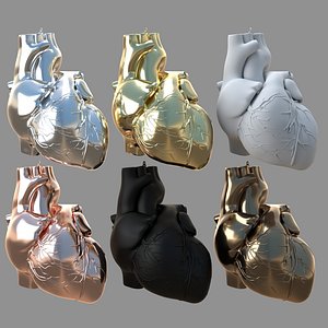 3D human heart pendent collection model