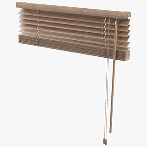 Windows Blinds Raised 3D model