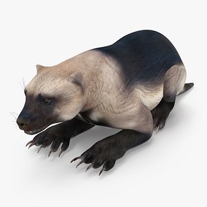 3D Wolverine Light Color Lying Down Pose
