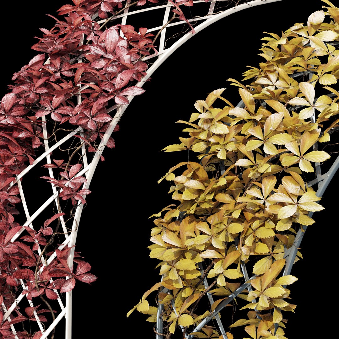 Half-round arch 3D model https://p.turbosquid.com/ts-thumb/nS/apyDRP/Hb/dtree_6/jpg/1672774684/1920x1080/fit_q87/35b426521269ead6973f7fde8fabcf05b4c7ab76/dtree_6.jpg