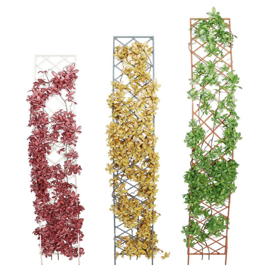 Half-round arch 3D model https://p.turbosquid.com/ts-thumb/nS/apyDRP/Ia/0dtree_4/jpg/1672774622/1920x1080/fit_q87/731496b6eaf1eb3318e3fc5632f06e25b9829131/0dtree_4.jpg