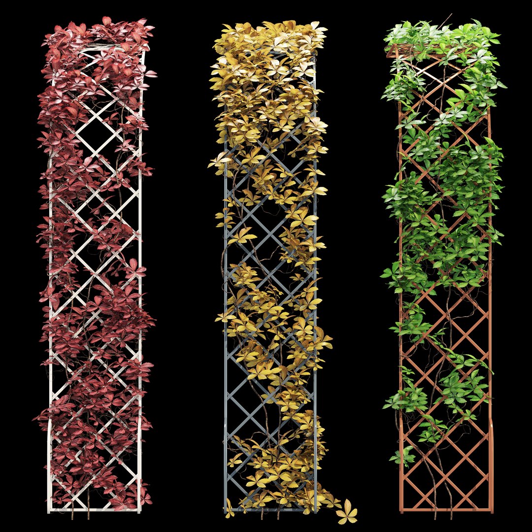 Half-round arch 3D model https://p.turbosquid.com/ts-thumb/nS/apyDRP/bI/dtree_1/jpg/1672774649/1920x1080/fit_q87/9e4097f462334596fbdb6b13b3986135b1c56524/dtree_1.jpg
