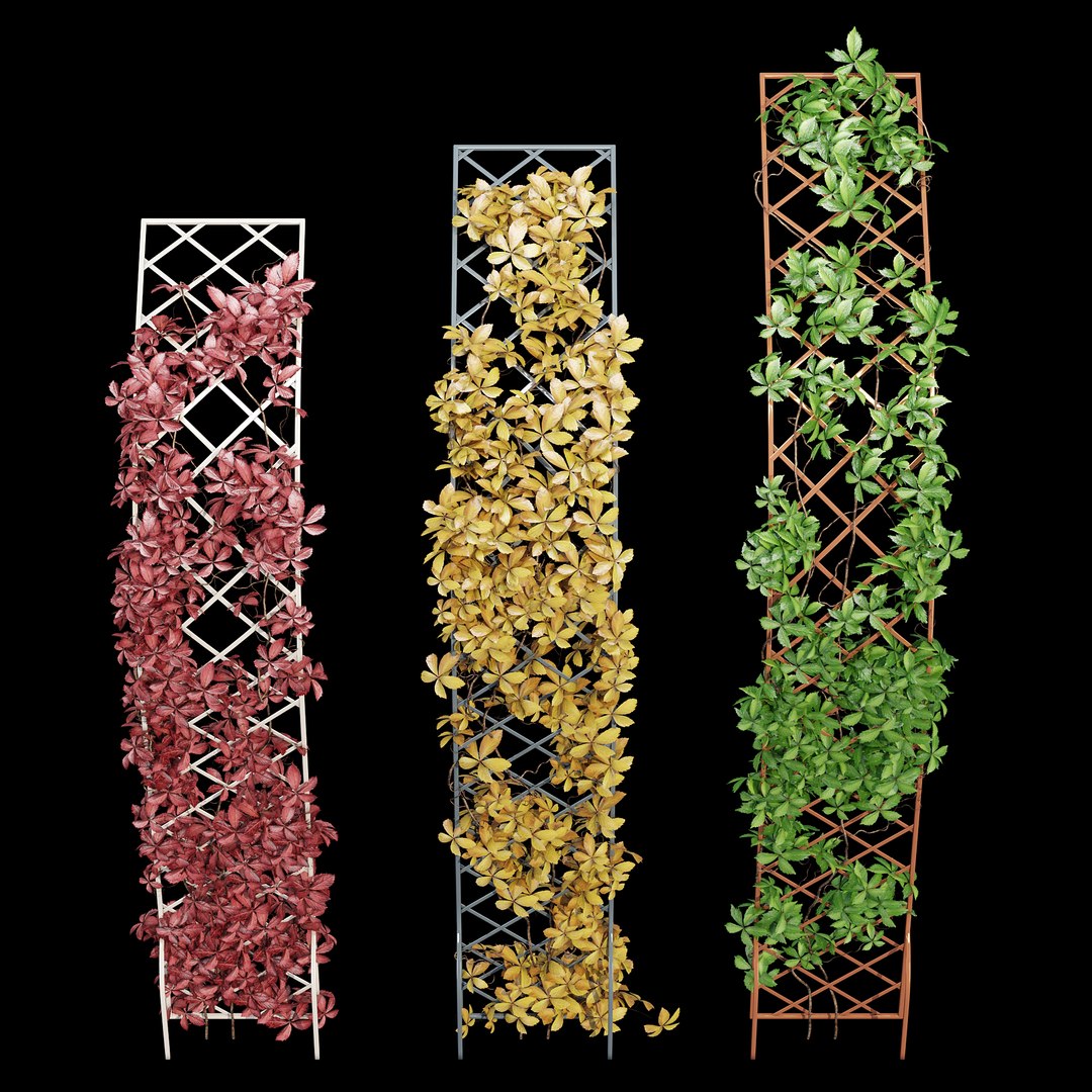 Half-round arch 3D model https://p.turbosquid.com/ts-thumb/nS/apyDRP/vn/dtree_4/jpg/1672774673/1920x1080/fit_q87/3ce68e3d2cc2515aaaa095cf527fe54ddea50c0b/dtree_4.jpg