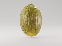 Piel de sapo Melon fruit 3d model