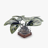 Vase with Leaves