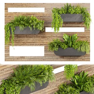 3D Collection plant vol 505   - garden - leaf - fitowall - wood model