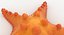 Estrella de mar naranja