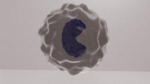 3D model monocyte