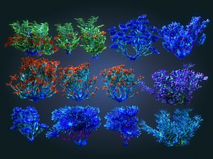 3D coral reef plants pack
