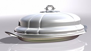 Stainless Steal Cloche