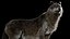 Pele de lobo animada e manipulada em 3D