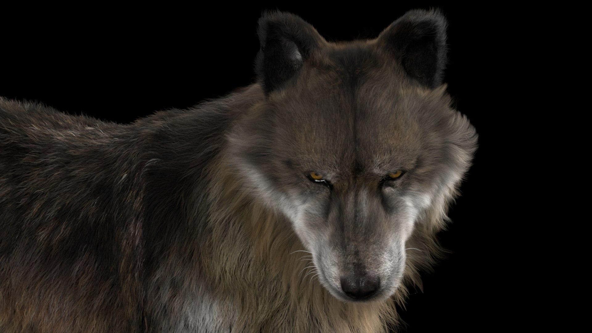 3D model Wolf Fur Animated Rigged 3D https://p.turbosquid.com/ts-thumb/nU/2r1ImR/23/11/jpg/1751249000/1920x1080/fit_q87/5c5c8ceeac100075cdc642aceeb9659dc1362d1d/11.jpg