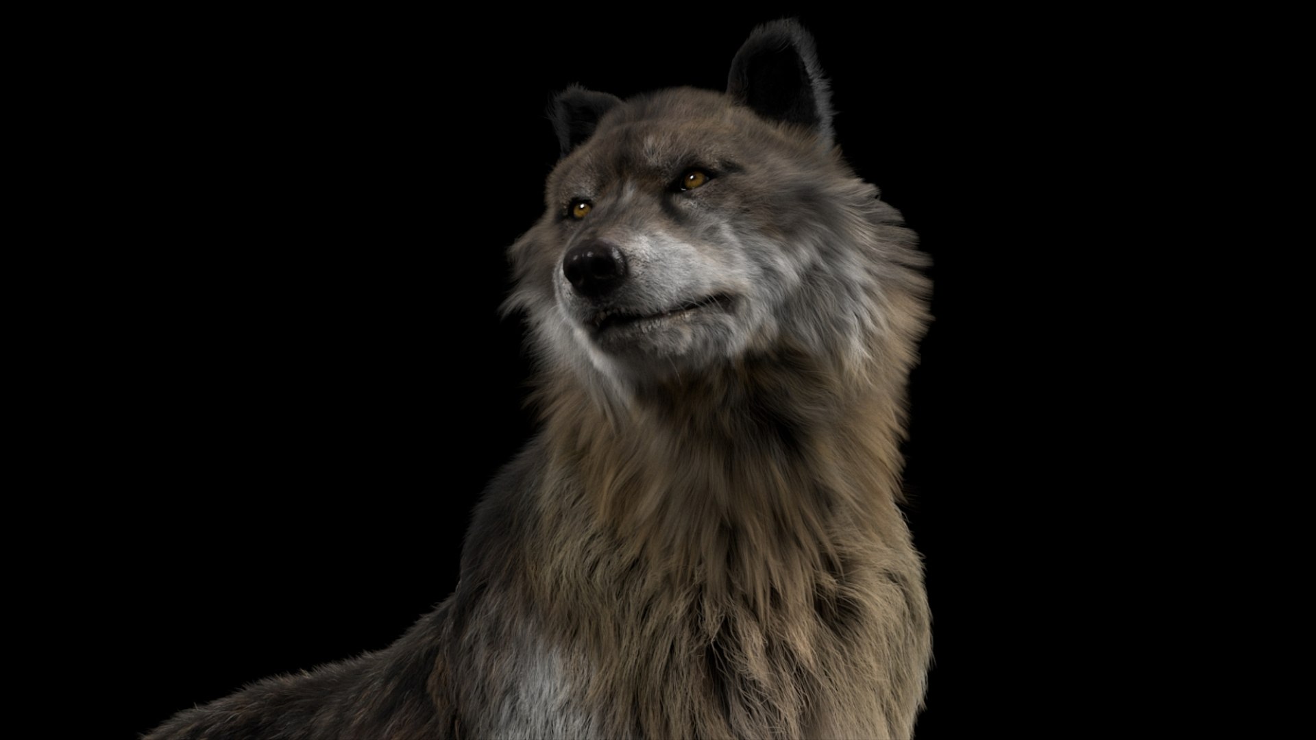 3D model Wolf Fur Animated Rigged 3D https://p.turbosquid.com/ts-thumb/nU/2r1ImR/5p/07/jpg/1751248998/1920x1080/fit_q87/20999cc6c8225e018729fed5cf47b0bea15e5cb5/07.jpg