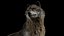 Pele de lobo animada e manipulada em 3D