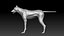 Pele de lobo animada e manipulada em 3D
