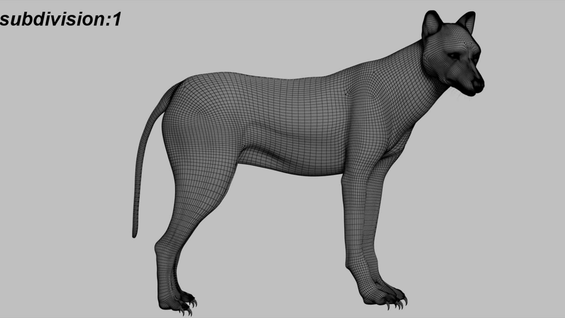 3D model Wolf Fur Animated Rigged 3D https://p.turbosquid.com/ts-thumb/nU/2r1ImR/Vt/21/jpg/1751249005/1920x1080/fit_q87/a18a5ec34f9881c54bfc4e0e7b090e16b58ad7ed/21.jpg