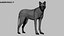 Pele de lobo animada e manipulada em 3D