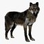 Pele de lobo animada e manipulada em 3D