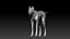 Pele de lobo animada e manipulada em 3D