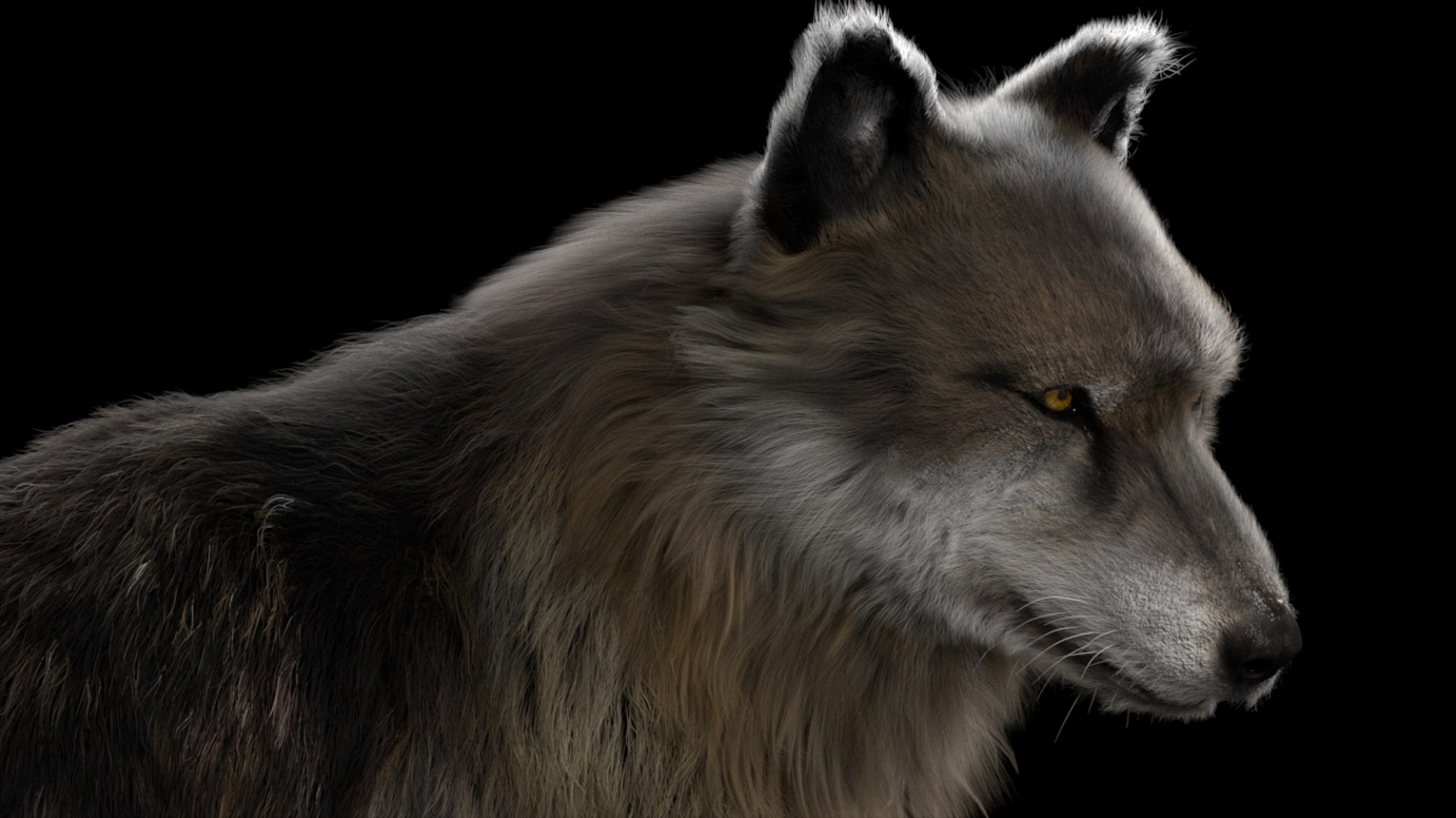 3D model Wolf Fur Animated Rigged 3D https://p.turbosquid.com/ts-thumb/nU/2r1ImR/eQ/09/jpg/1751248999/1920x1080/fit_q87/56c7b5b54924c21f2c82aceea617956743594c1b/09.jpg