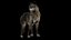Pele de lobo animada e manipulada em 3D