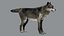 Pele de lobo animada e manipulada em 3D