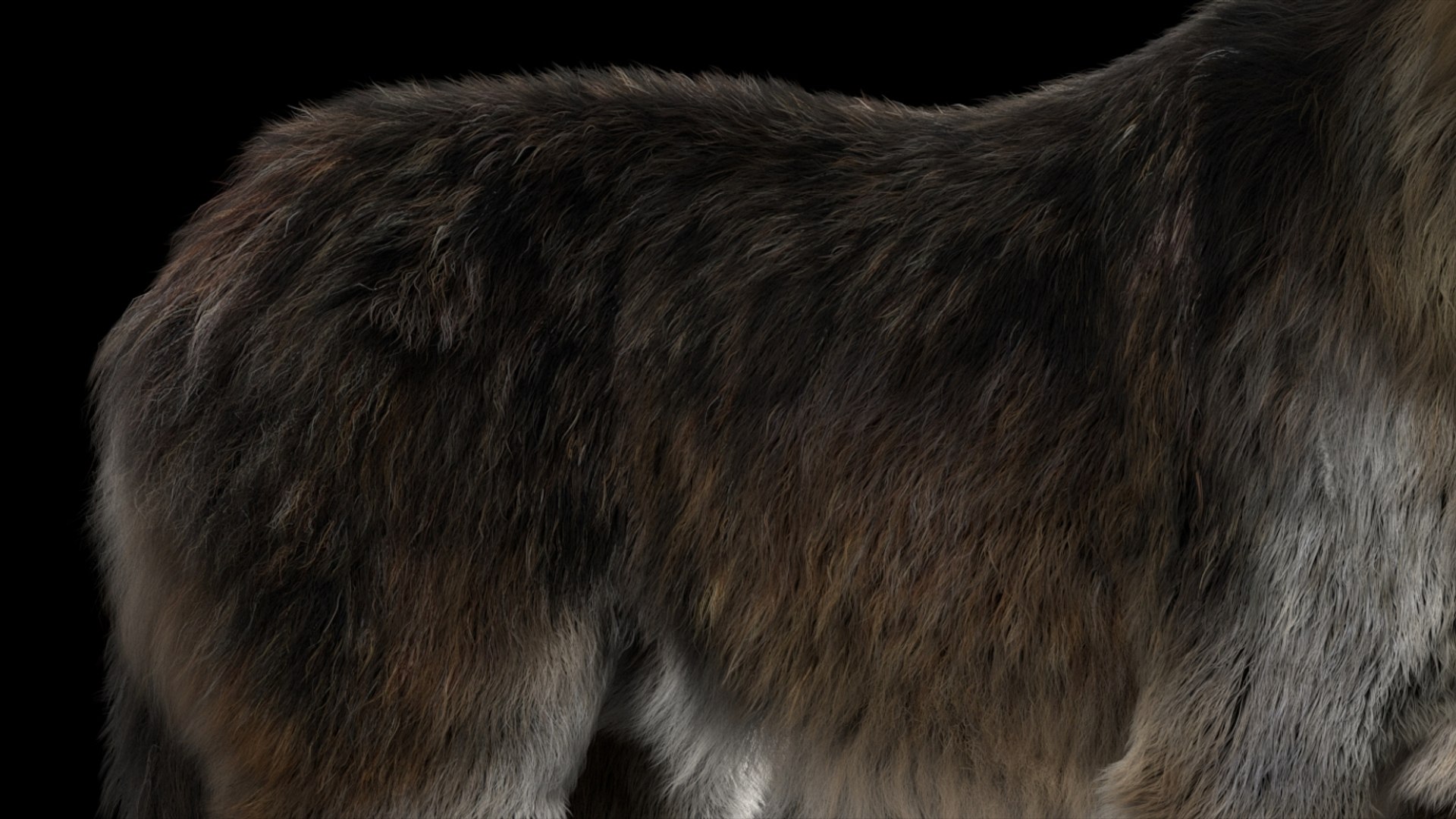 3D model Wolf Fur Animated Rigged 3D https://p.turbosquid.com/ts-thumb/nU/2r1ImR/yi/15/jpg/1751249003/1920x1080/fit_q87/6d4747731d0786677ae15205dcc0640f25538107/15.jpg
