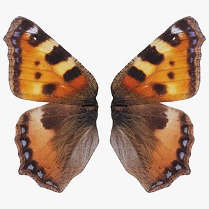 3D Small Tortoiseshell Aglais Urticae Remastered