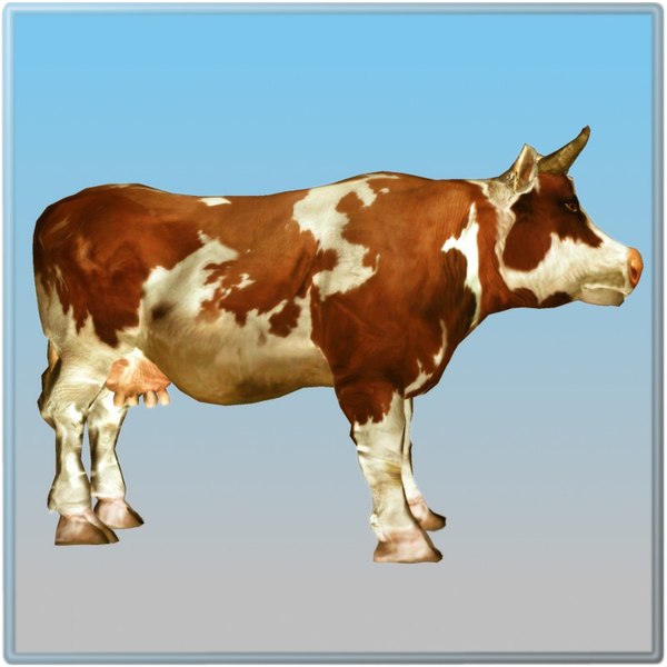 cow 3d model