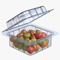 Fruit Box Plastic Transparent Surinam Cherry