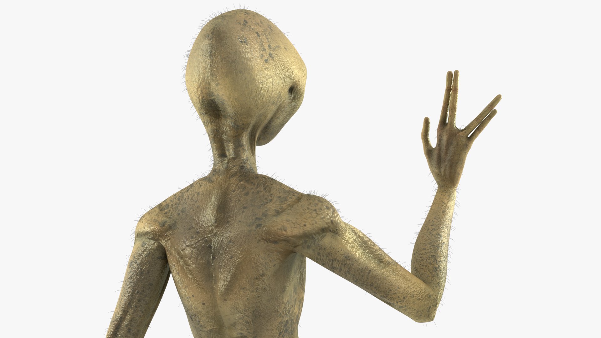 Humanoid Alien Creature Greeting Pose Fur 3D model https://p.turbosquid.com/ts-thumb/nU/Fqs1V9/F3/humanoidaliencreaturegreetingposefurc4dmodel011/jpg/1647898804/1920x1080/fit_q87/1f0928d32ad554be798f218a4363d17f710bd343/humanoidaliencreaturegreetingposefurc4dmodel011.jpg