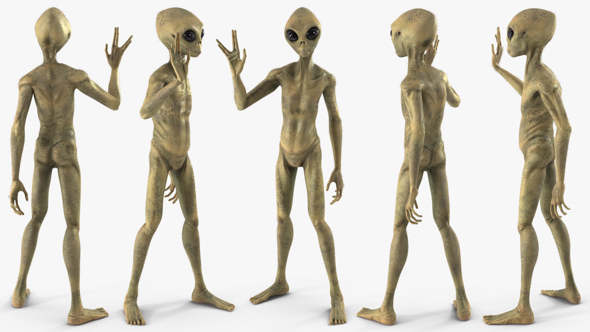 Humanoid Alien Creature Greeting Pose Fur 3D model https://p.turbosquid.com/ts-thumb/nU/Fqs1V9/If/humanoidaliencreaturegreetingposefurc4dmodel006/jpg/1647898789/1920x1080/fit_q87/2ae4ff4c0d2c963bd8d9cb416f0be9510a07c5d8/humanoidaliencreaturegreetingposefurc4dmodel006.jpg