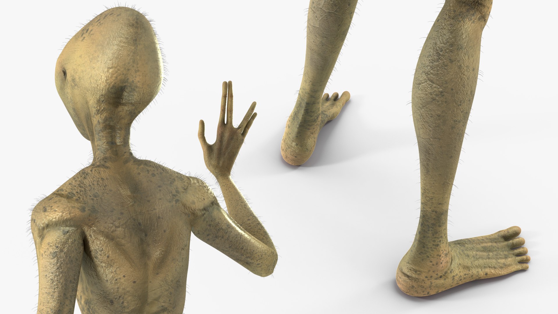 Humanoid Alien Creature Greeting Pose Fur 3D model https://p.turbosquid.com/ts-thumb/nU/Fqs1V9/qQ/humanoidaliencreaturegreetingposefurc4dmodel009/jpg/1647898798/1920x1080/fit_q87/c995380408a46d2b63dc55d5f9f5f51db44fc34e/humanoidaliencreaturegreetingposefurc4dmodel009.jpg