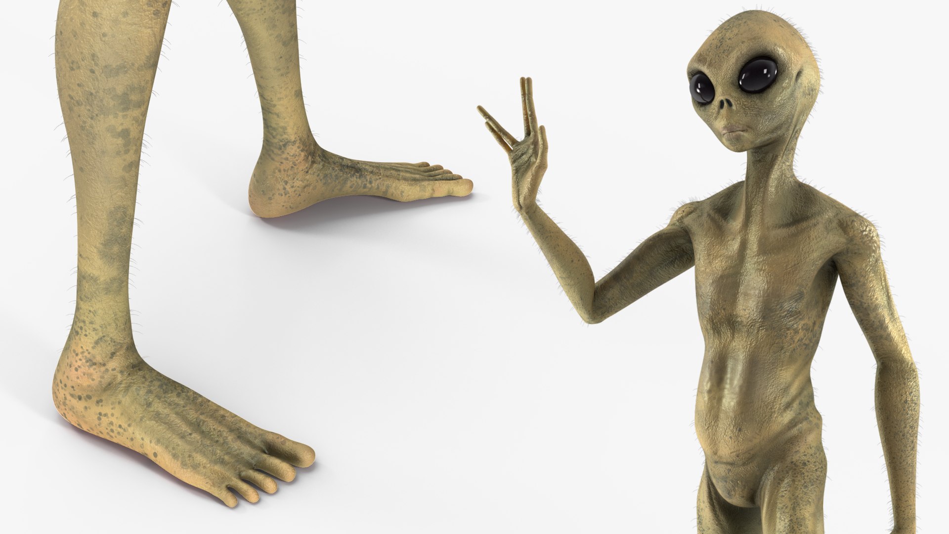 Humanoid Alien Creature Greeting Pose Fur 3D model https://p.turbosquid.com/ts-thumb/nU/Fqs1V9/zs/humanoidaliencreaturegreetingposefurc4dmodel008/jpg/1647898795/1920x1080/fit_q87/0d1ac16e7aba6593da265b6aa171bbc0238a464e/humanoidaliencreaturegreetingposefurc4dmodel008.jpg