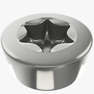3D head screw model
