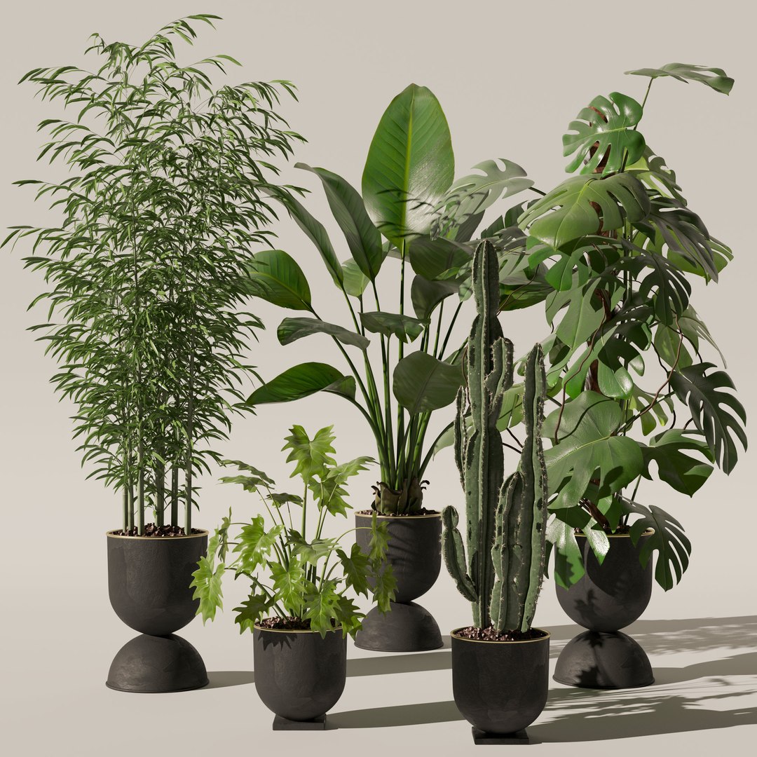 3D Plants Collection 128 - TurboSquid 1958930