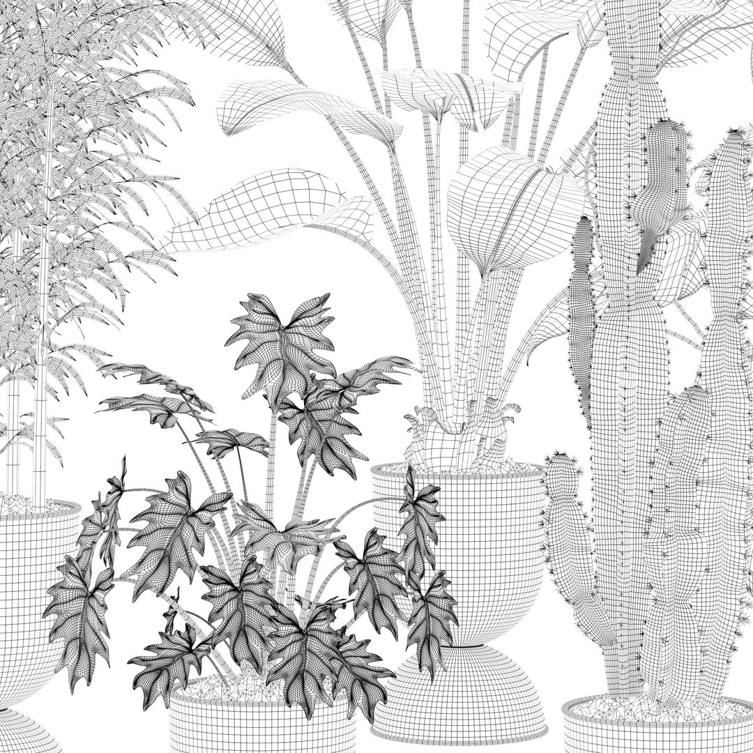 3D Plants collection 128 https://p.turbosquid.com/ts-thumb/nU/MK0R3L/At/7/jpg/1663235255/1920x1080/fit_q87/d2b6d5b836a86b047343b6dd50fbd2a318a18187/7.jpg