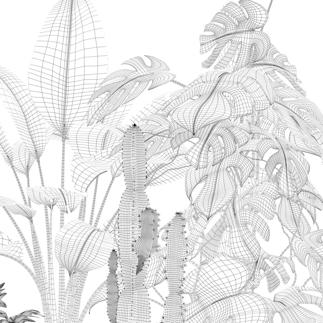 3D Plants collection 128 https://p.turbosquid.com/ts-thumb/nU/MK0R3L/WP/8/jpg/1663235255/1920x1080/fit_q87/658679102c971916c47ce40d16f1f106ee0013c7/8.jpg