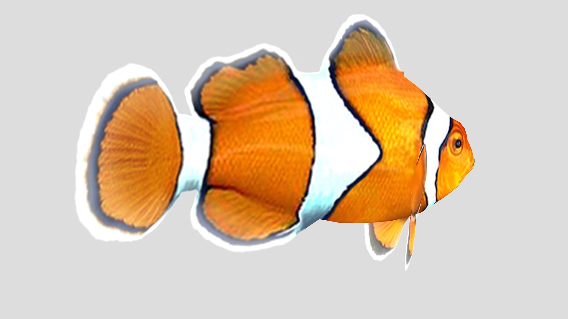 3D clownfish tropical fish https://p.turbosquid.com/ts-thumb/nU/XI6GyB/GPpBB1jx/04_clownfish/jpg/1551794845/1920x1080/fit_q87/ad489bc54b9ea813fd78b11eff79e44886d2f97e/04_clownfish.jpg