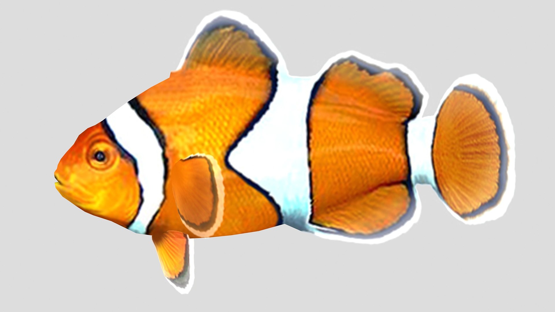 3D clownfish tropical fish https://p.turbosquid.com/ts-thumb/nU/XI6GyB/cHic7kwa/03_clownfish/jpg/1551794827/1920x1080/fit_q87/9518eaec5e1e0003a98dd751665241c4546af663/03_clownfish.jpg