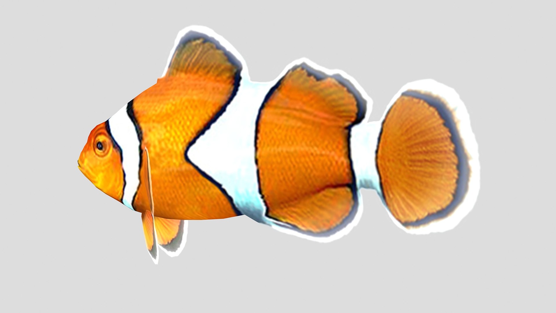 3D clownfish tropical fish https://p.turbosquid.com/ts-thumb/nU/XI6GyB/glZu9LpK/05_clownfish/jpg/1551794859/1920x1080/fit_q87/52d3f26cc77fbfba66894bf9d982b3444a9b941d/05_clownfish.jpg