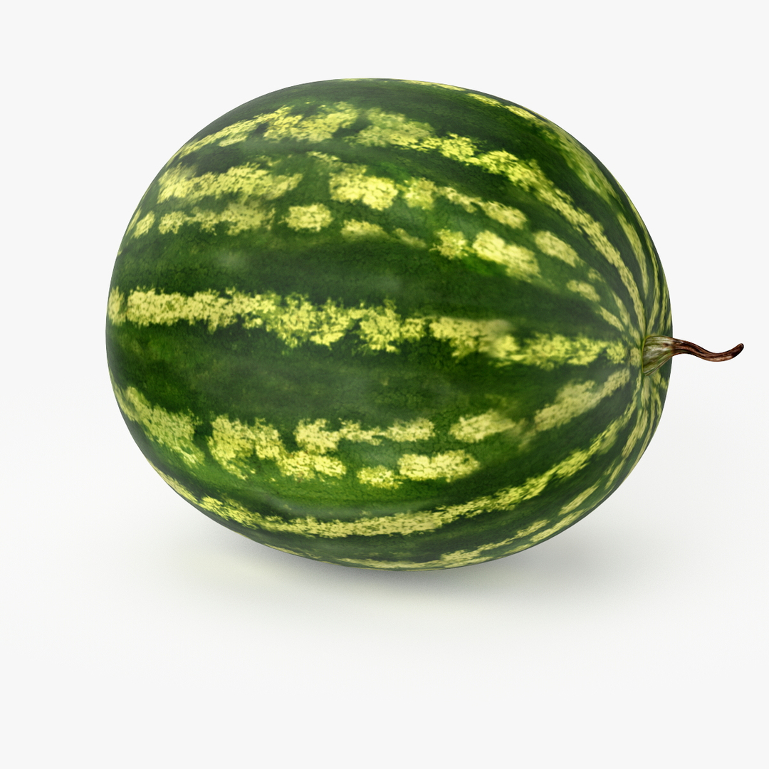 Realistic Watermelon Real 3d Model