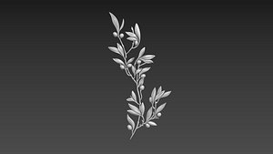 Olive Branch 3D