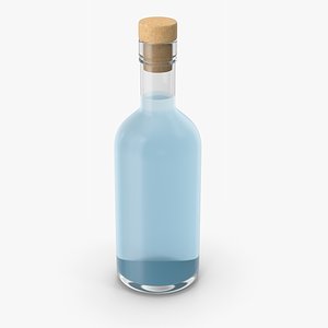 3D Dry Gin Bottle model
