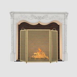 max fireplace screen