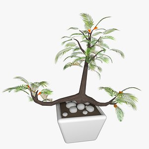 Bonsai