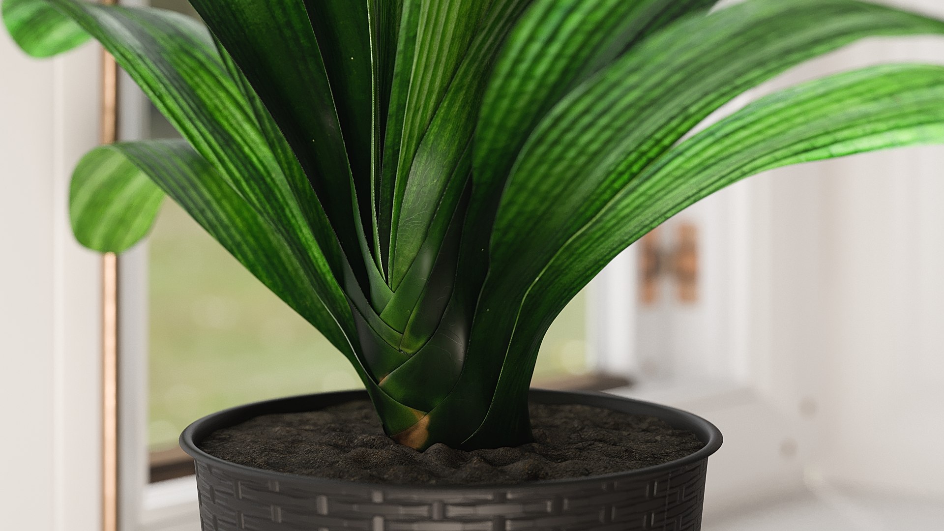 3D model Clivia with Windows https://p.turbosquid.com/ts-thumb/nV/Brd5UM/DE/_view04/jpg/1626765888/1920x1080/fit_q87/6da0ee53fba253b429e2d85c29e3ace8f9b3323d/_view04.jpg
